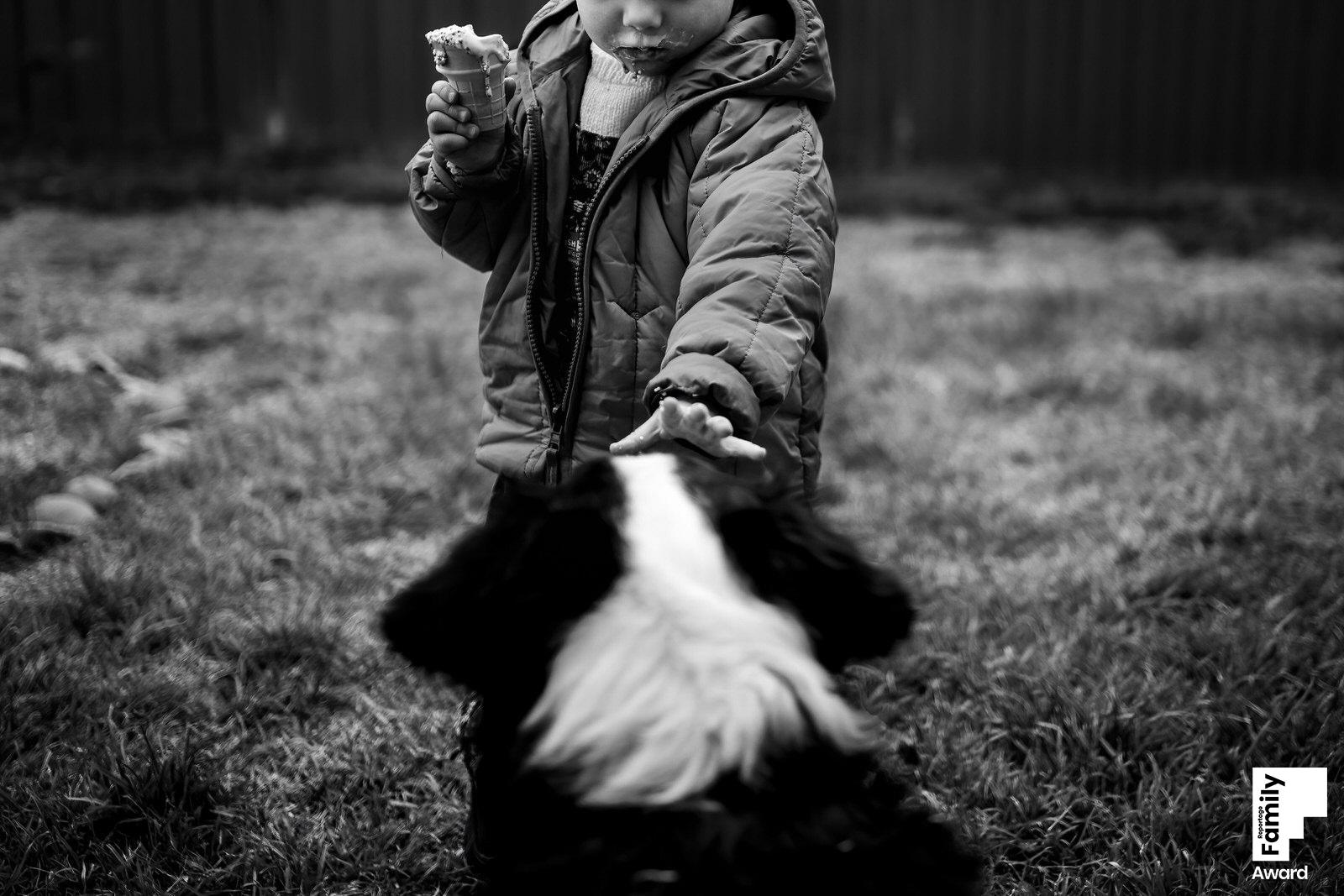 reportage family award by kate crittenden