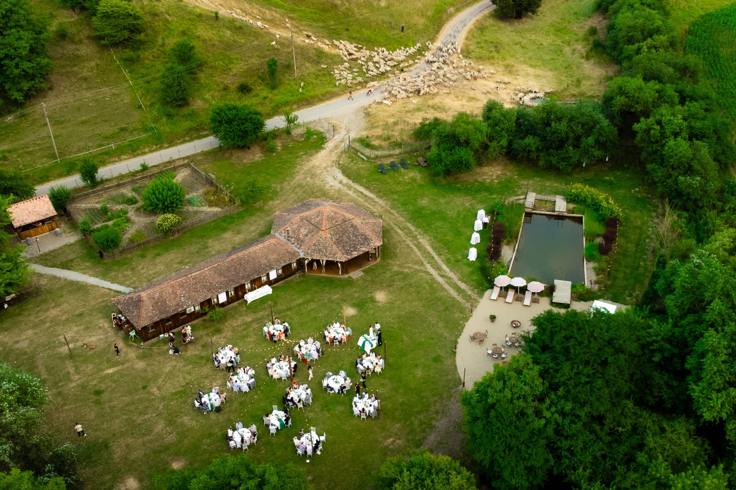Documentary image by Alpar Lukacsi